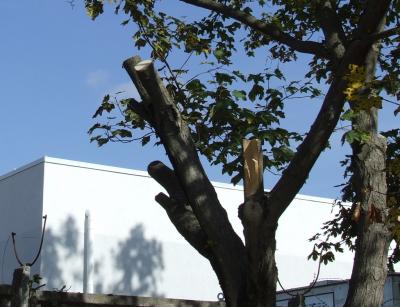 Прикрепленное изображение: 003.jpg